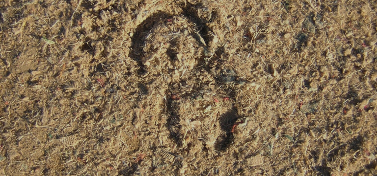 Keep your equestrian surface perfect, even in the rain!